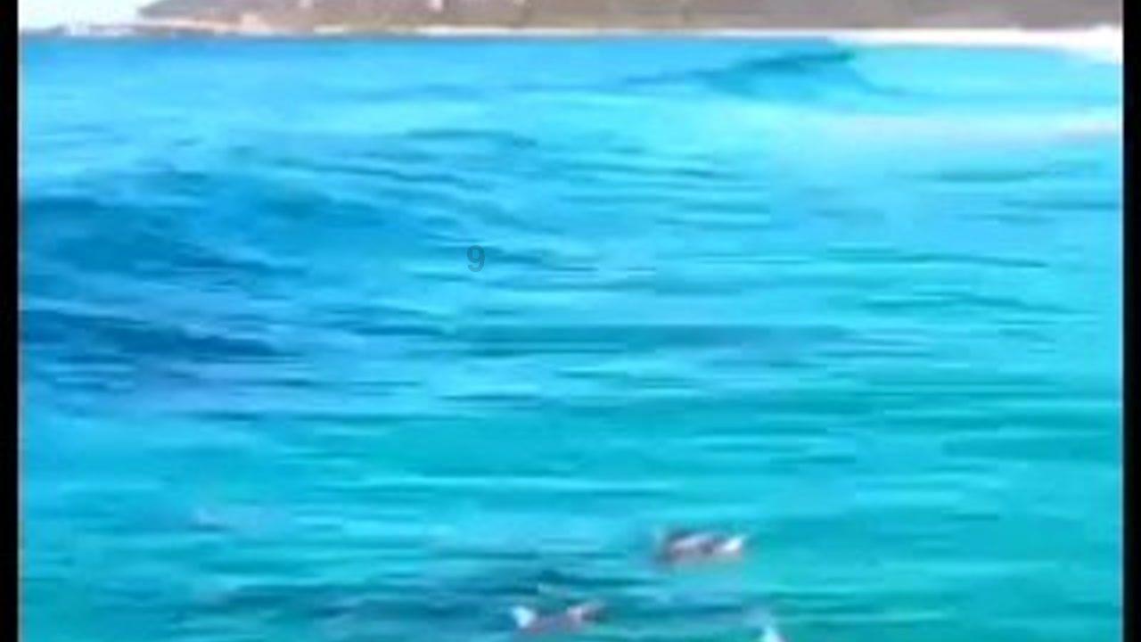 神秘事件
