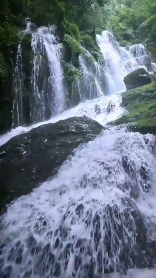 拯救巧虎2